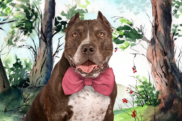 April: Hank