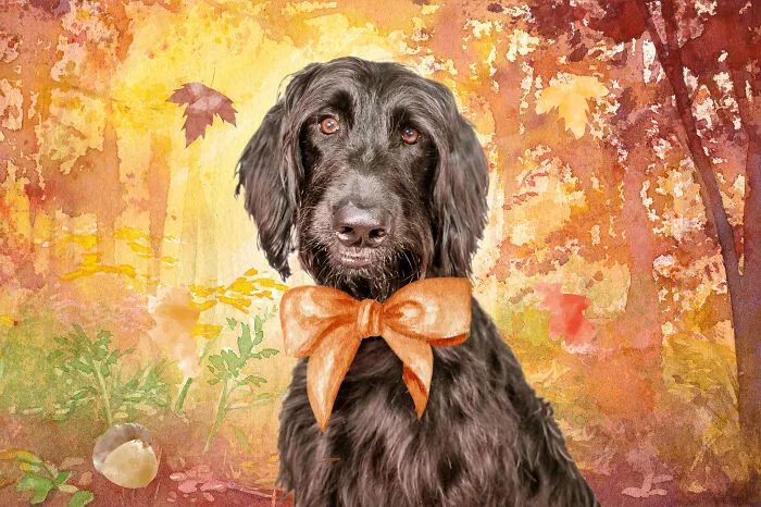 November: Wilson