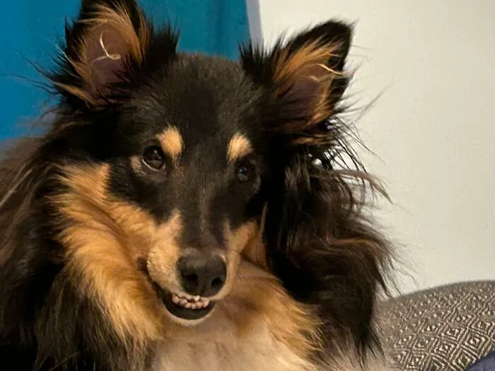 Aiko Smiling Like She Is Plotting World-Dominion