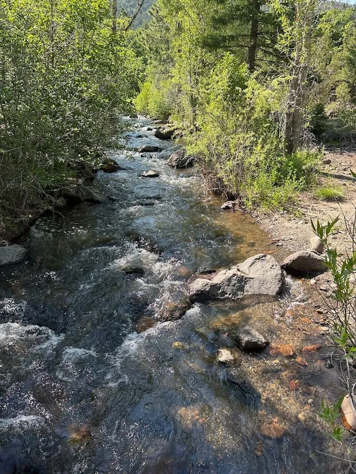 Peaceful Stream For A Peaceful Day Of Hiking