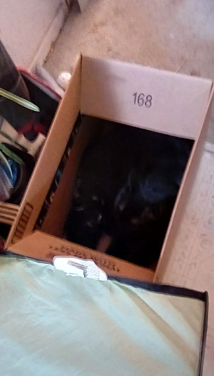 My Void-In-The-Box