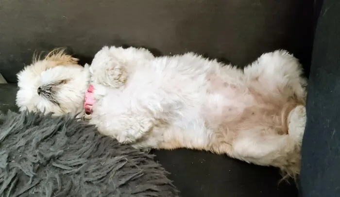 Zzzzzzz