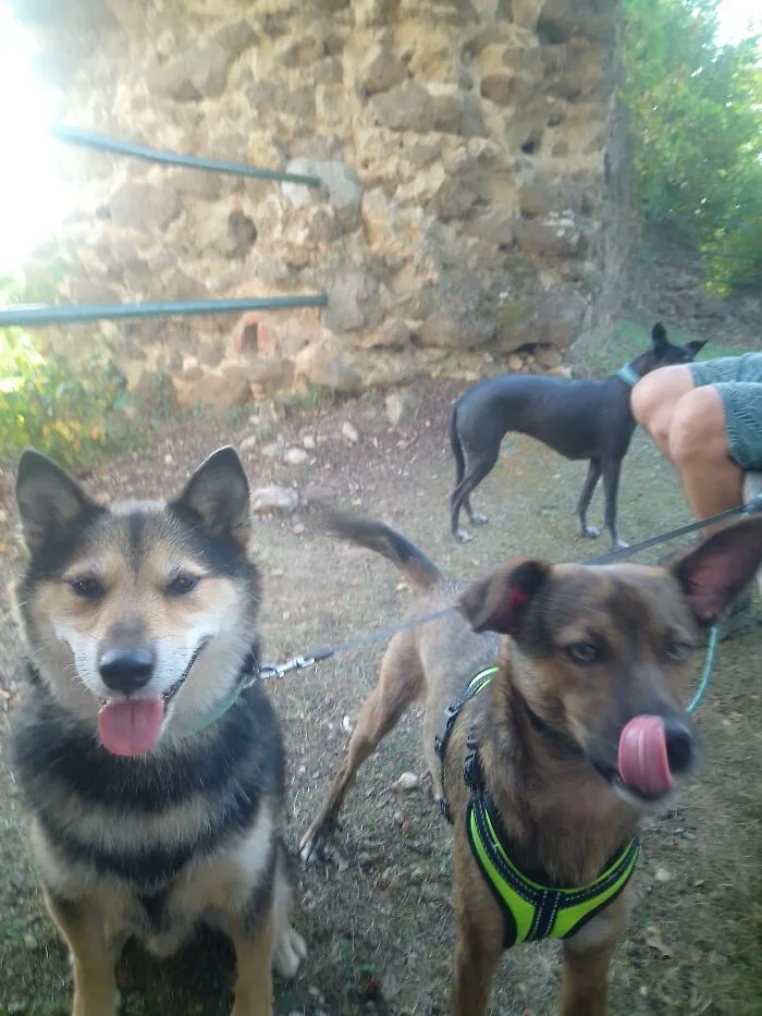 Two Cuties