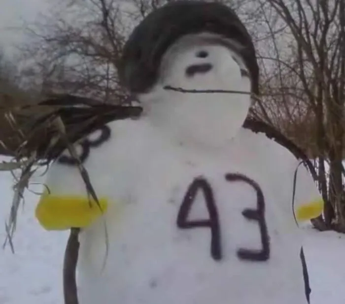 Pittsburgh Steeler "Troy Polamasnow"