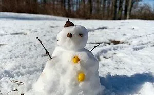 Hey Pandas, Let Us See Your Snowmen Or Other Winter Creations (Closed)