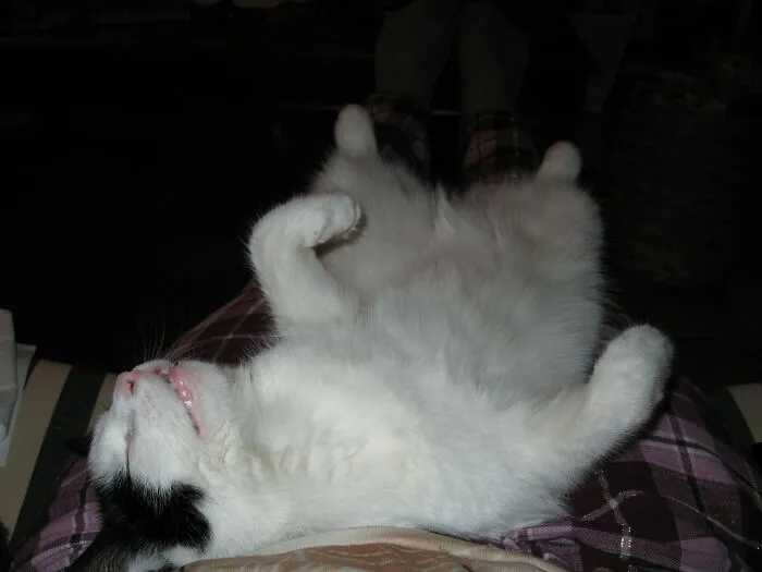 Sleepy Nana