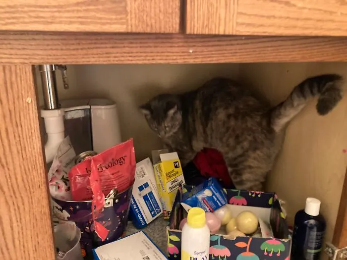 She’s At It Again