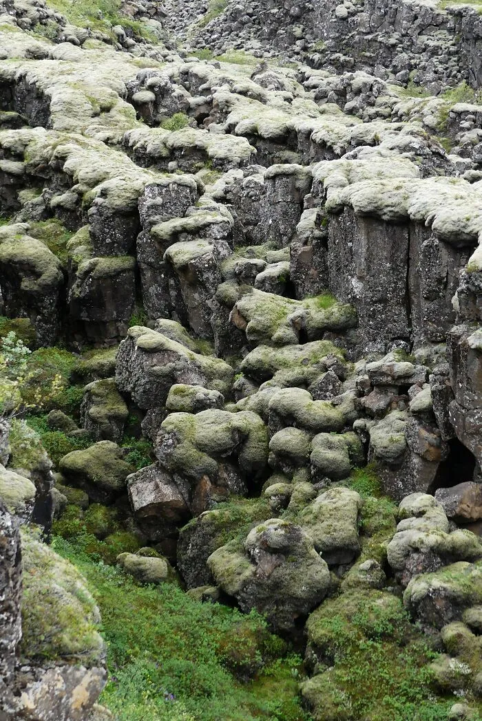 40 Photos Of Iceland That I Took In The Summer Of 2020