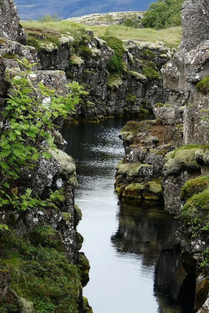 40 Photos Of Iceland That I Took In The Summer Of 2020