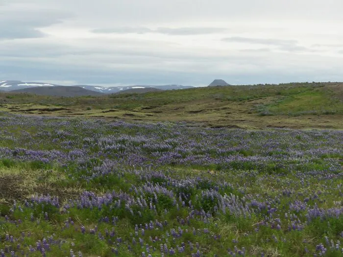 40 Photos Of Iceland That I Took In The Summer Of 2020