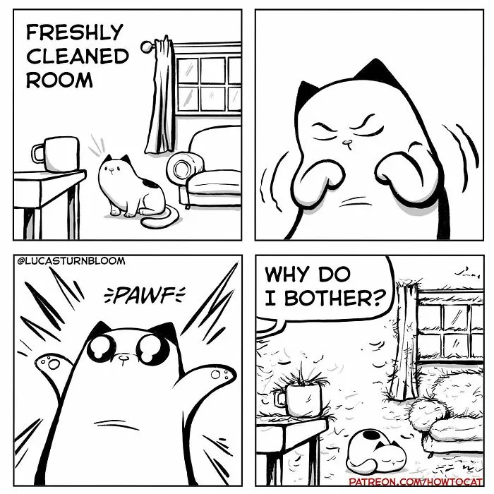 40 Relatable Comics If You've Ever Had A Cat, Created By This Artist (New Pics)
