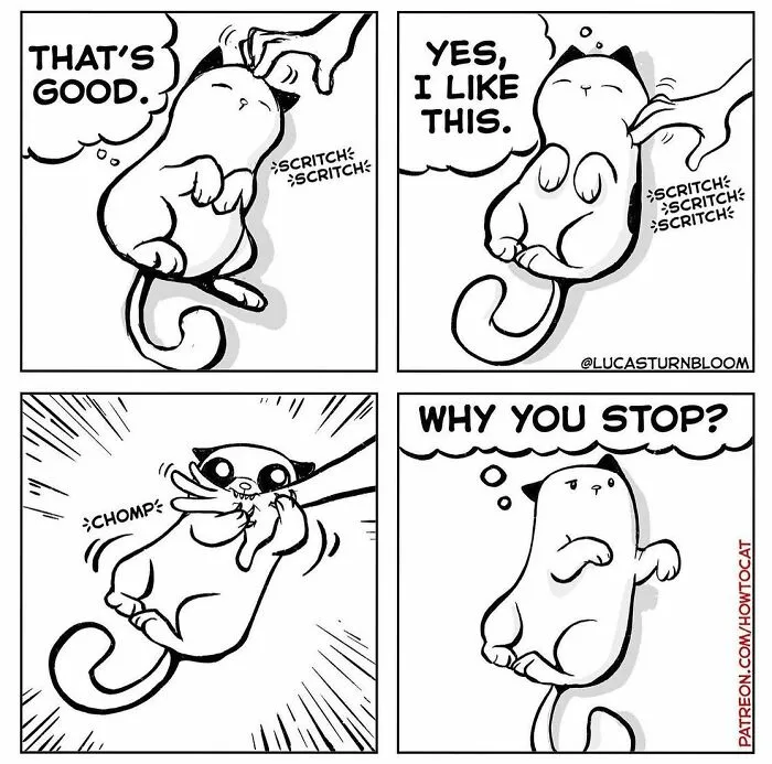 40 Relatable Comics If You've Ever Had A Cat, Created By This Artist (New Pics)