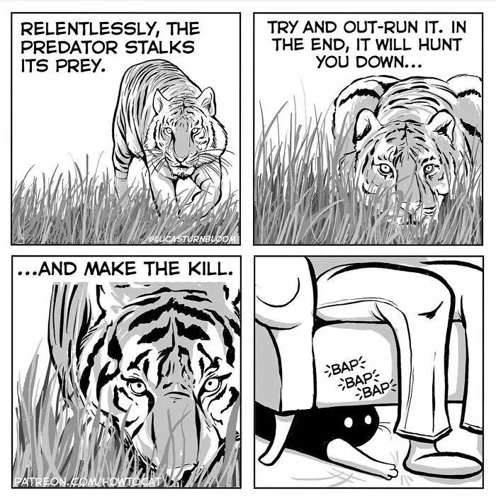 40 Relatable Comics If You've Ever Had A Cat, Created By This Artist (New Pics)