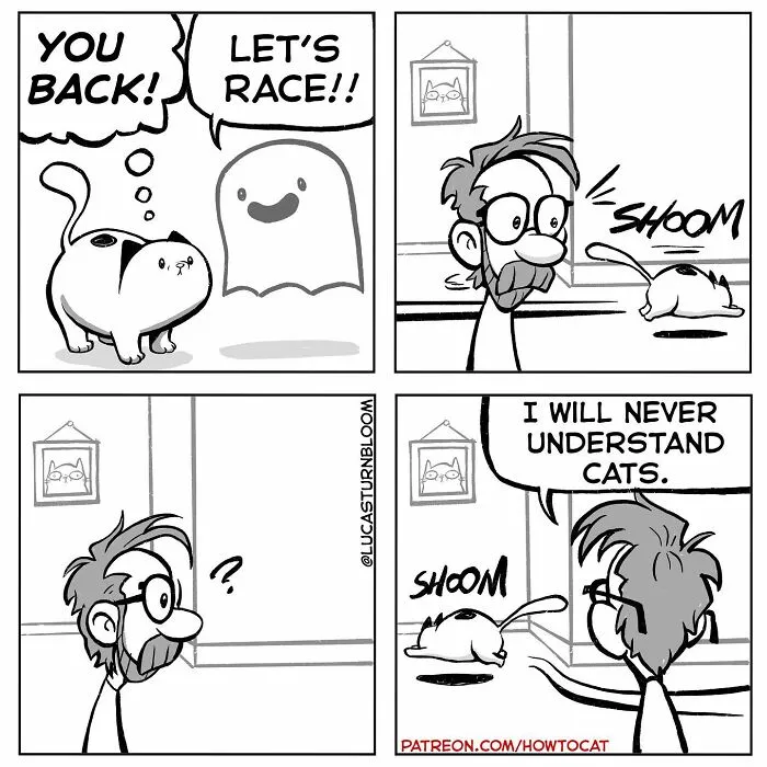 40 Relatable Comics If You've Ever Had A Cat, Created By This Artist (New Pics)