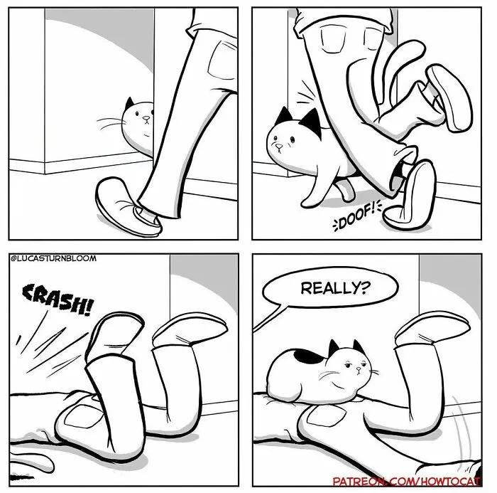 40 Relatable Comics If You've Ever Had A Cat, Created By This Artist (New Pics)