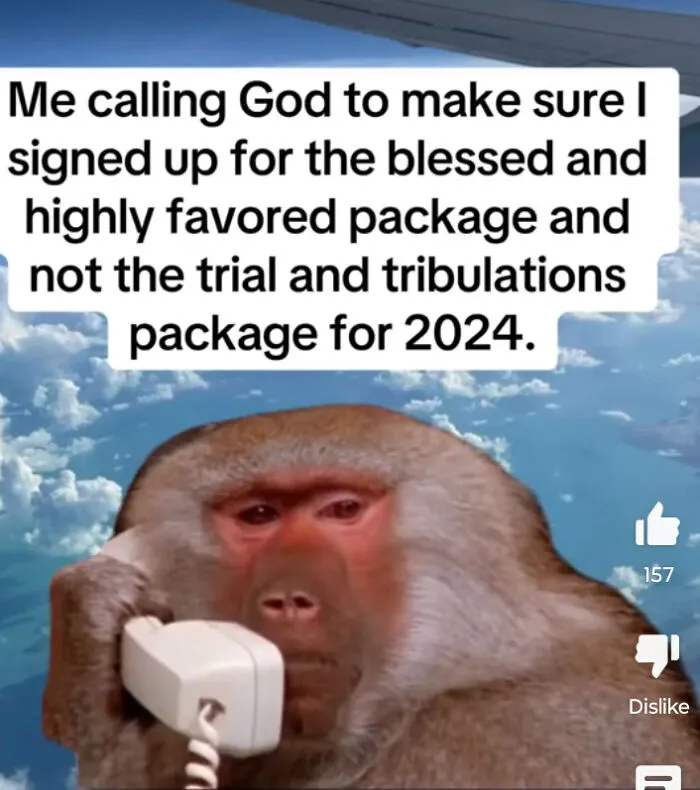 If You Didn't Understand That The Monkey Is The Best Part Of This Joke, You Might Be The Monkey