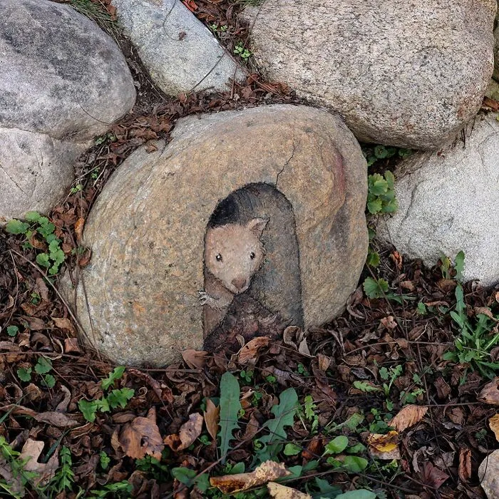 50 Doodled Creatures That Popped Up In Unexpected Places, By David Zinn (New Pics)