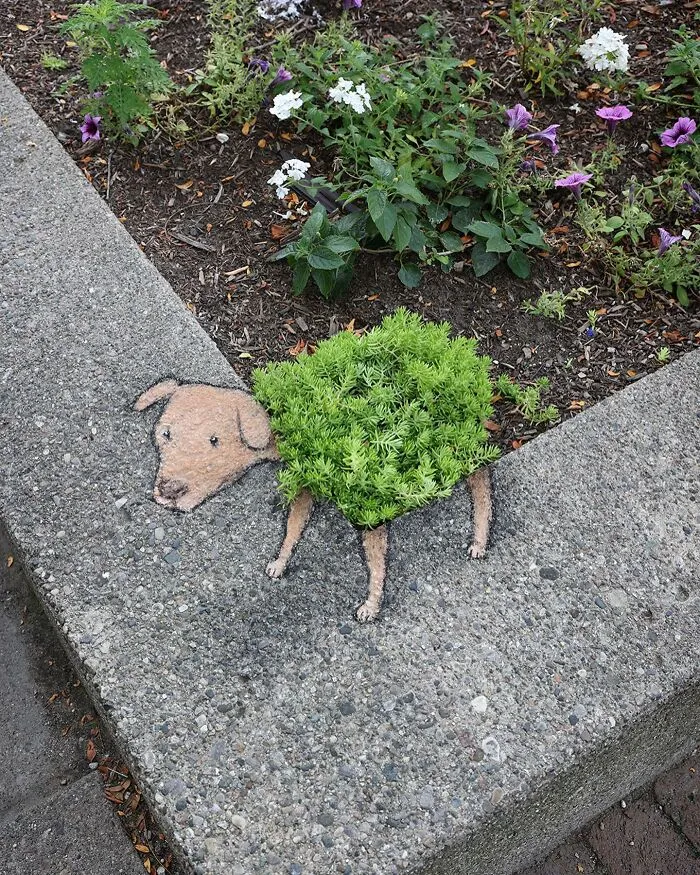 50 Doodled Creatures That Popped Up In Unexpected Places, By David Zinn (New Pics)