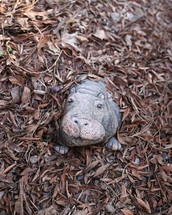 50 Doodled Creatures That Popped Up In Unexpected Places, By David Zinn (New Pics)