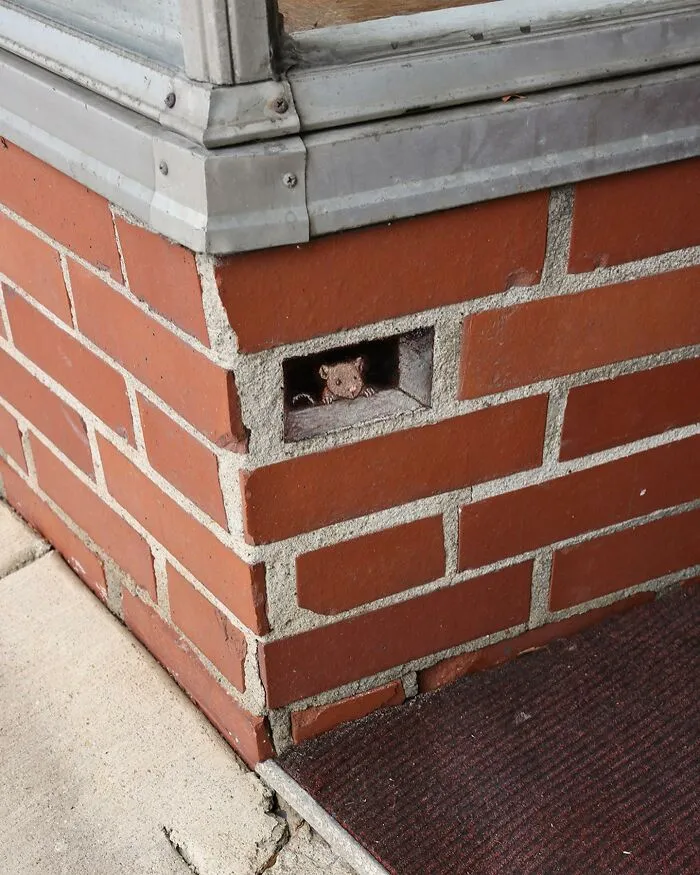 50 Doodled Creatures That Popped Up In Unexpected Places, By David Zinn (New Pics)