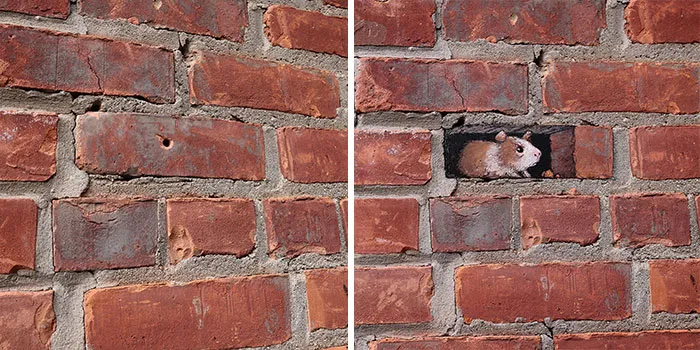 50 Doodled Creatures That Popped Up In Unexpected Places, By David Zinn (New Pics)