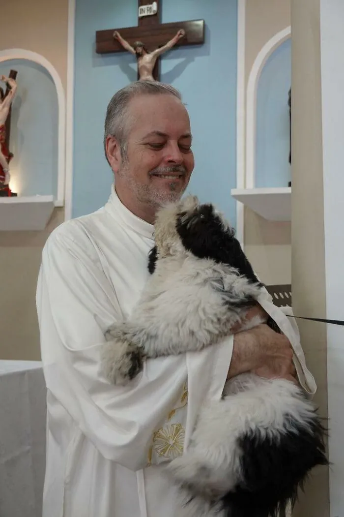 Loving Priest Turns Church Services Into Adoption Fairs For Stray Dogs (21 New Pics)