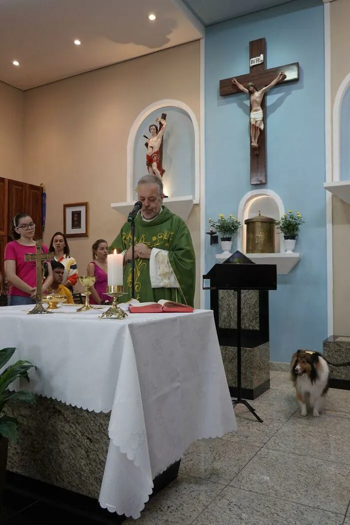 Loving Priest Turns Church Services Into Adoption Fairs For Stray Dogs (21 New Pics)