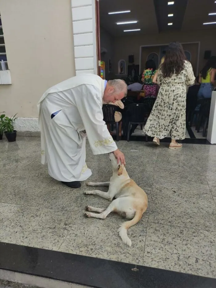 Loving Priest Turns Church Services Into Adoption Fairs For Stray Dogs (21 New Pics)