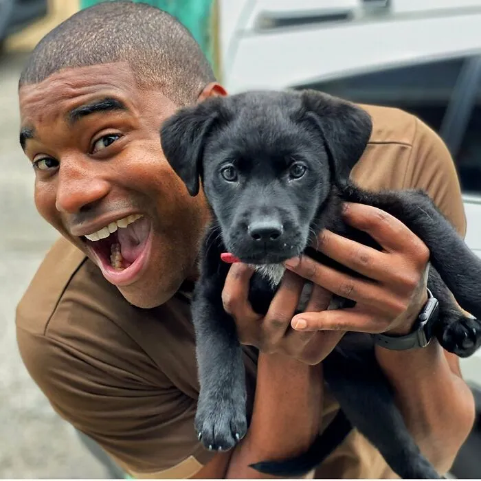 UPS Guy Takes Selfies With All The Neighborhood Dogs While Delivering Parcels (50 New Pics)