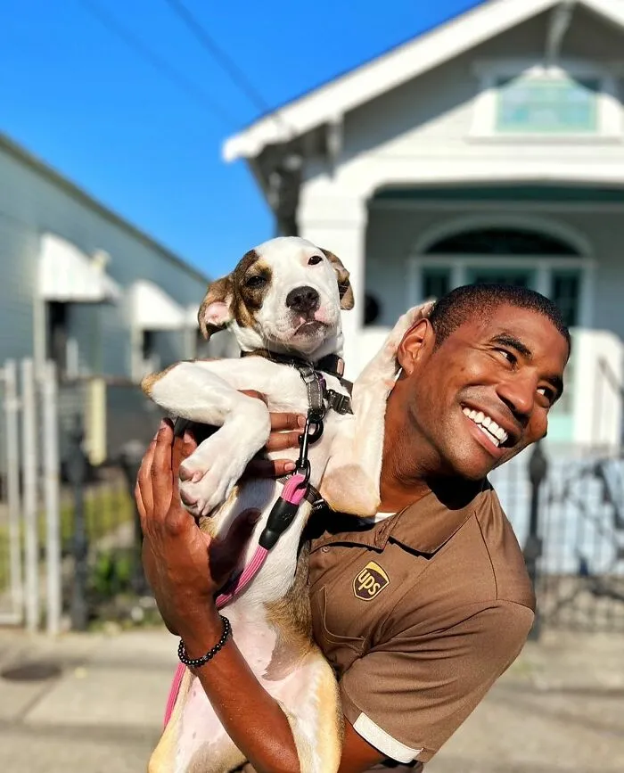 UPS Guy Takes Selfies With All The Neighborhood Dogs While Delivering Parcels (50 New Pics)