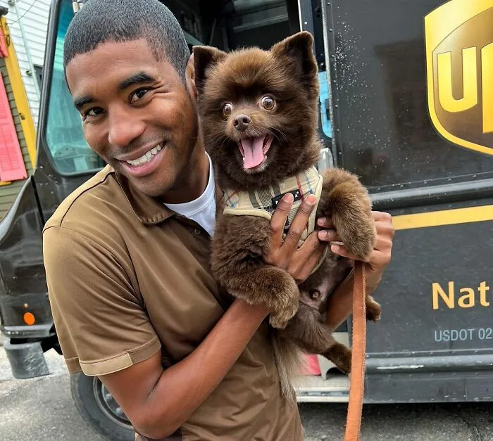UPS Guy Takes Selfies With All The Neighborhood Dogs While Delivering Parcels (50 New Pics)
