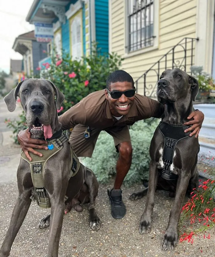 UPS Guy Takes Selfies With All The Neighborhood Dogs While Delivering Parcels (50 New Pics)