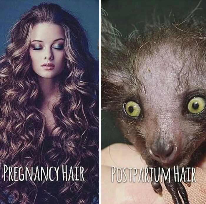 40 Memes That Hilariously Sum Up What Pregnancy And Being A Parent Are Like
