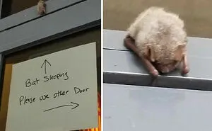 50 Of The Most Cheerful And Wholesome Posts Shared In This Dedicated Facebook Group