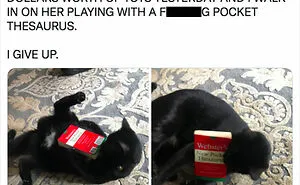 50 Of The Most Cheerful And Wholesome Posts Shared In This Dedicated Facebook Group
