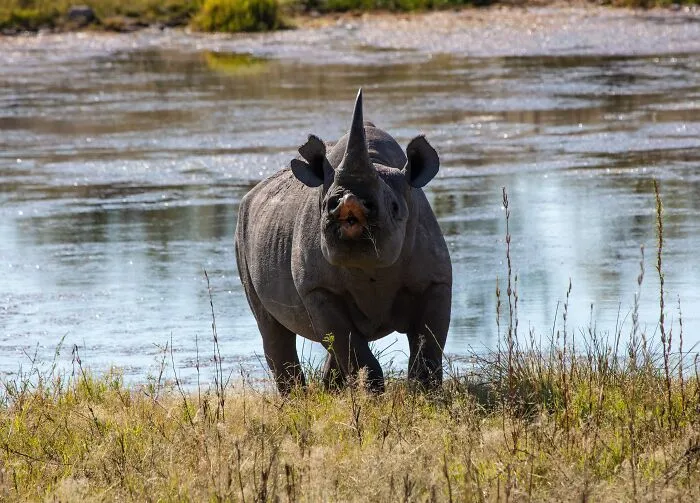 Our World Isn't A Total Nightmare And These 39 Things Prove That, As Shared Online