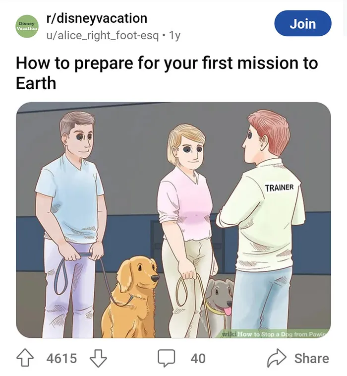 30 Funny Times People Added Clever Or Unhinged Captions To WikiHow Pics (New Pics)