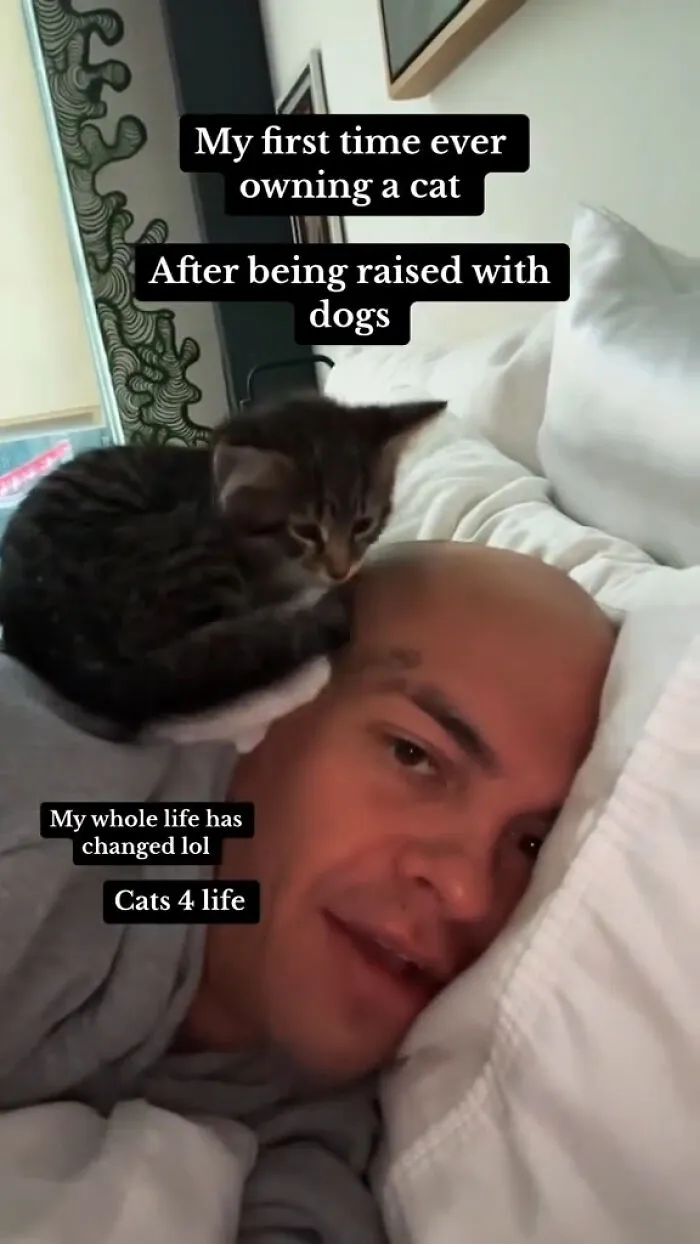 “Animals Doing Things”: 50 Funny And Wholesome Animal Memes And Pics To Make You Smile