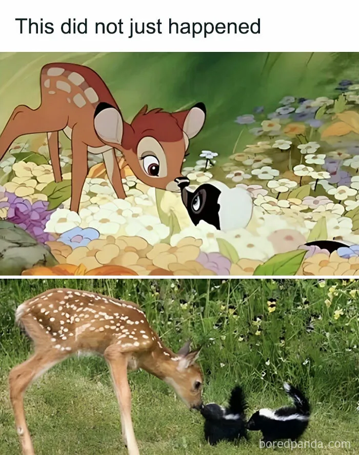 “Animals Doing Things”: 50 Funny And Wholesome Animal Memes And Pics To Make You Smile