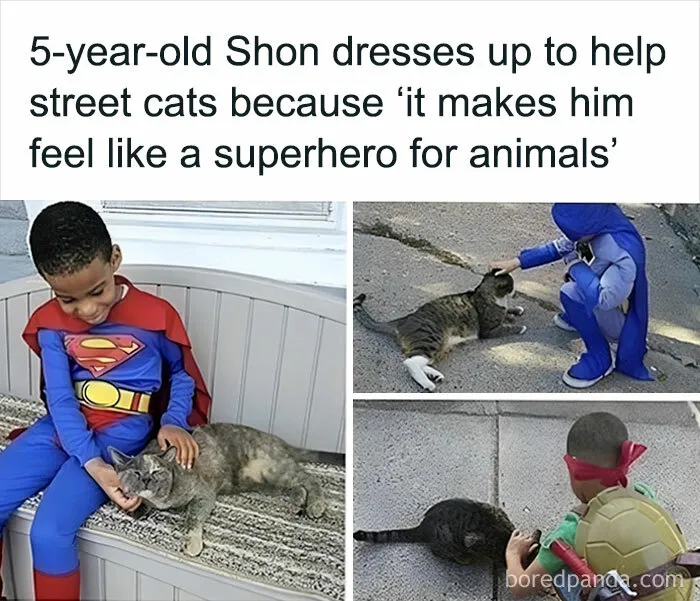 “Animals Doing Things”: 50 Funny And Wholesome Animal Memes And Pics To Make You Smile