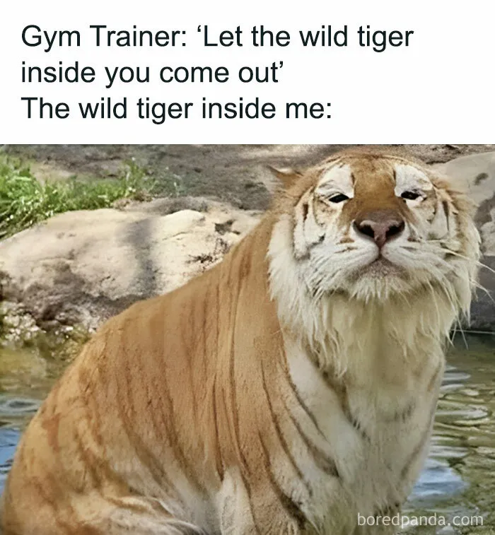 “Animals Doing Things”: 50 Funny And Wholesome Animal Memes And Pics To Make You Smile