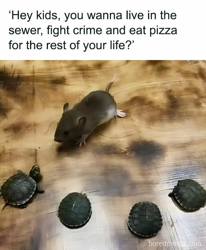 “Animals Doing Things”: 50 Funny And Wholesome Animal Memes And Pics To Make You Smile