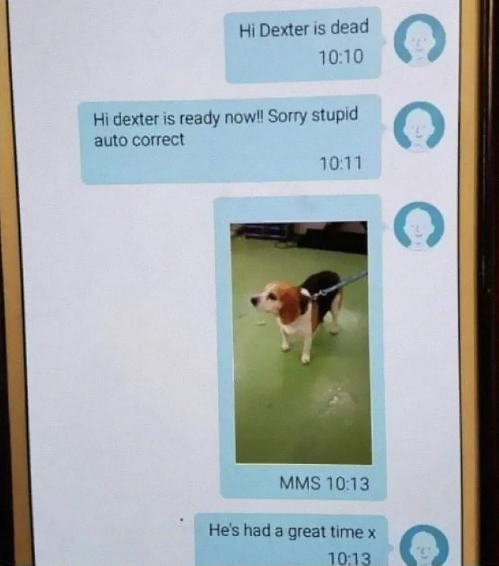 Message From The Dog Groomers