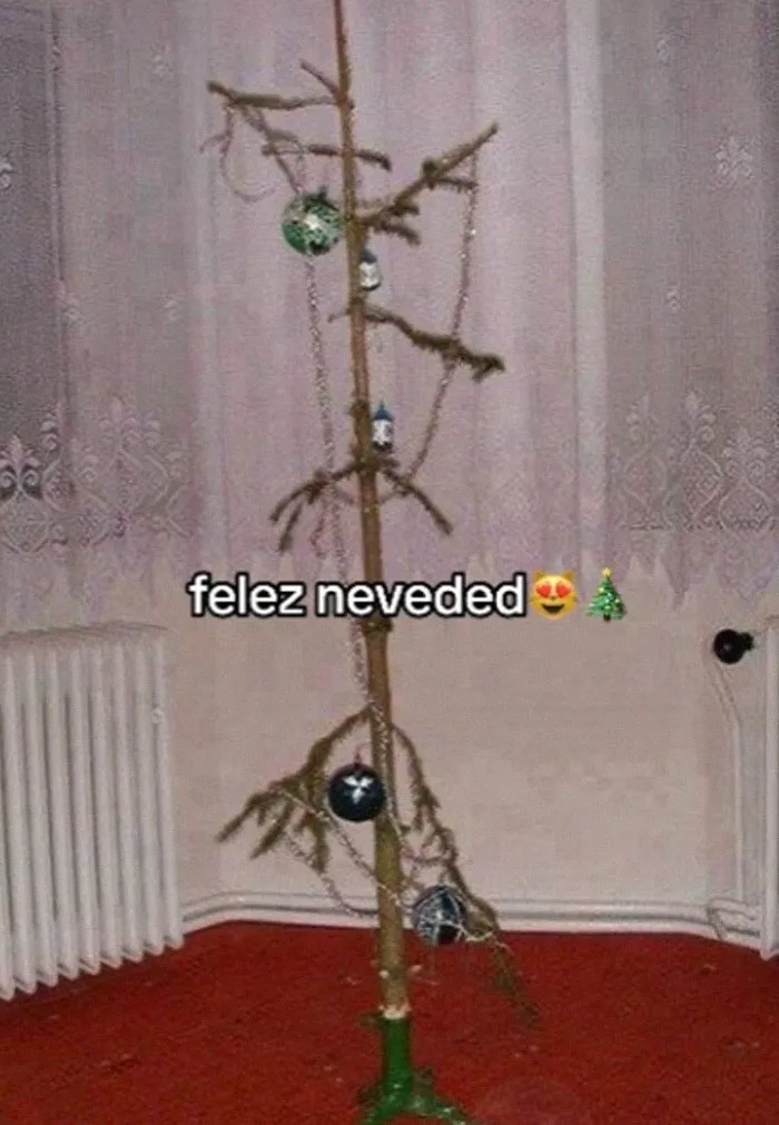 “Felez Neveded” Trend Has People Sharing Hilariously Sad And Chaotic Christmas Decor