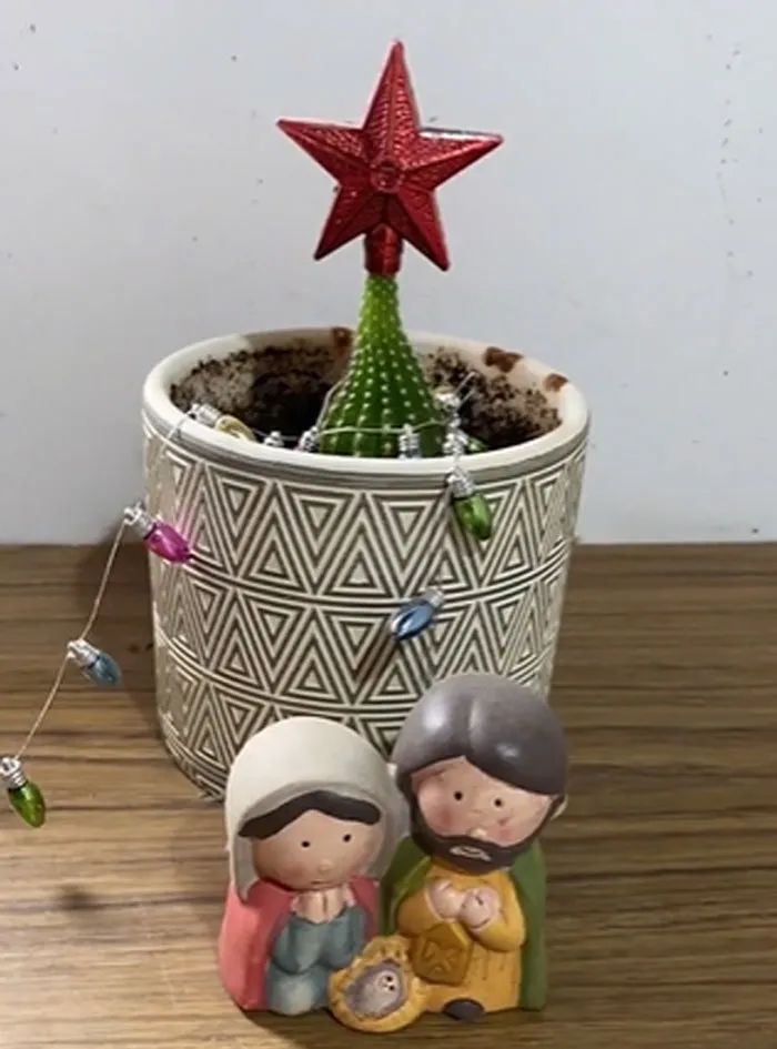 “Felez Neveded” Trend Has People Sharing Hilariously Sad And Chaotic Christmas Decor