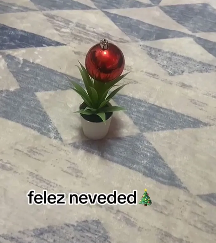 “Felez Neveded” Trend Has People Sharing Hilariously Sad And Chaotic Christmas Decor