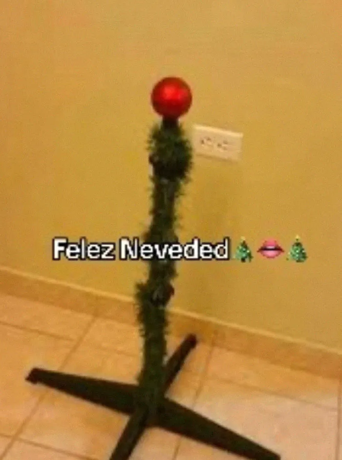 “Felez Neveded” Trend Has People Sharing Hilariously Sad And Chaotic Christmas Decor
