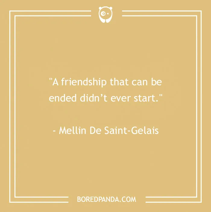 139 Best Friend Quotes To Sweeten The Bond