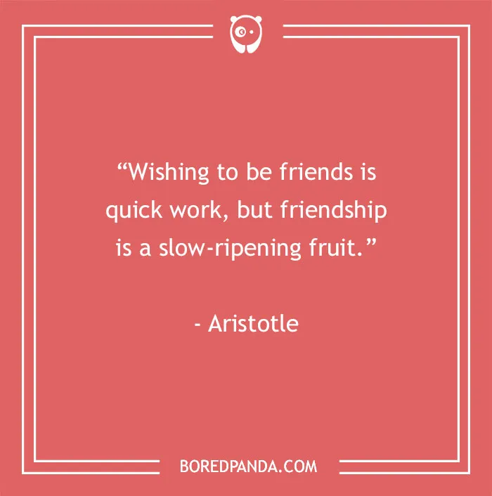 139 Best Friend Quotes To Sweeten The Bond