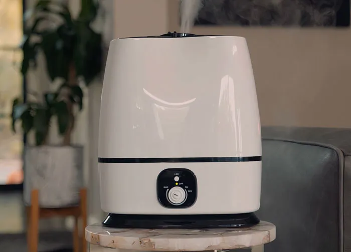 #2 Everlasting Comfort Air Humidifier